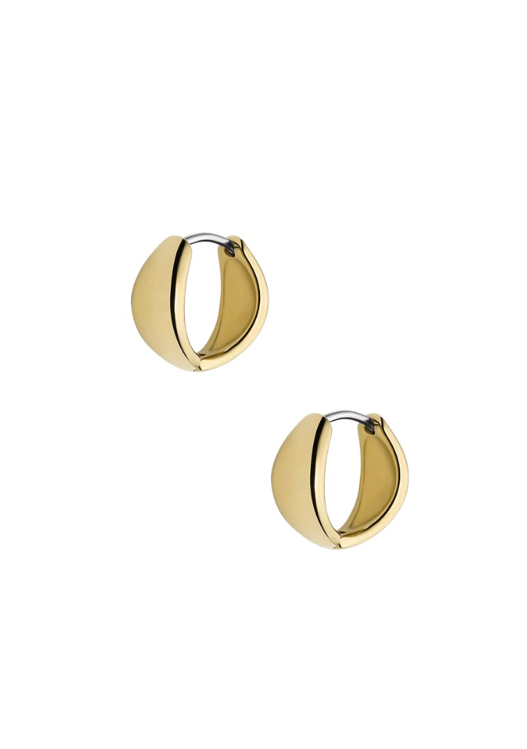 Fossil, JF04741710 — thumbnail 2